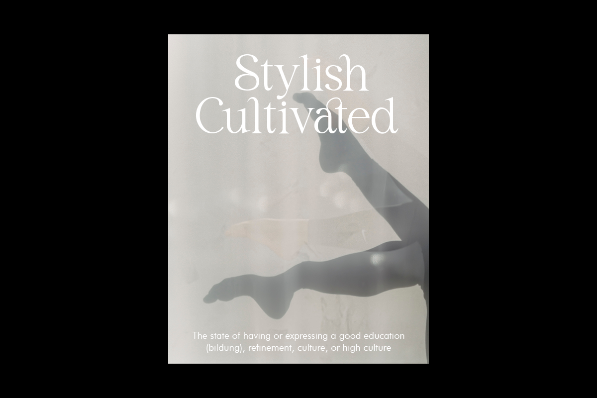 Salsify - Classic Thin Serif, a Serif Font by Pandeka Studio (Photo 8 of 12)