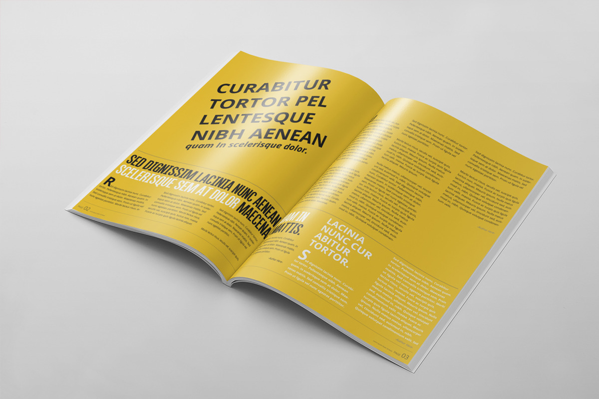 Magazine Template 34, a Magazine Template by pmvch (Photo 5 of 10)