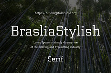 Brasilia Stylish Serif Font