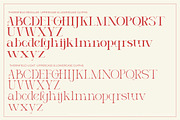 Thornfield, a Serif Font by Lettramina Studio (Thumbnail 8 of 9)