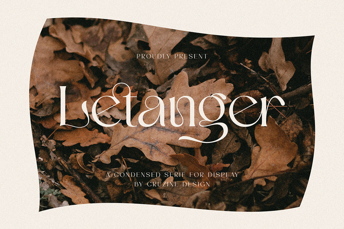 Letanger Elegant Deco Serif, a Serif Font by Cruzine (Photo 1 of 9)