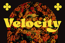 Velocity - Dynamic Retro Display
