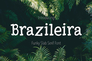 Brazileira - Slab Serif Font, a Slab Serif Font by Sketchetarian