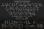 Southland, a Handwritten Font by FreshTypeINK (Thumbnail 5 of 8)