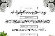 Fighter Brush, a Script Font by Olexstudio (Thumbnail 5 of 8)