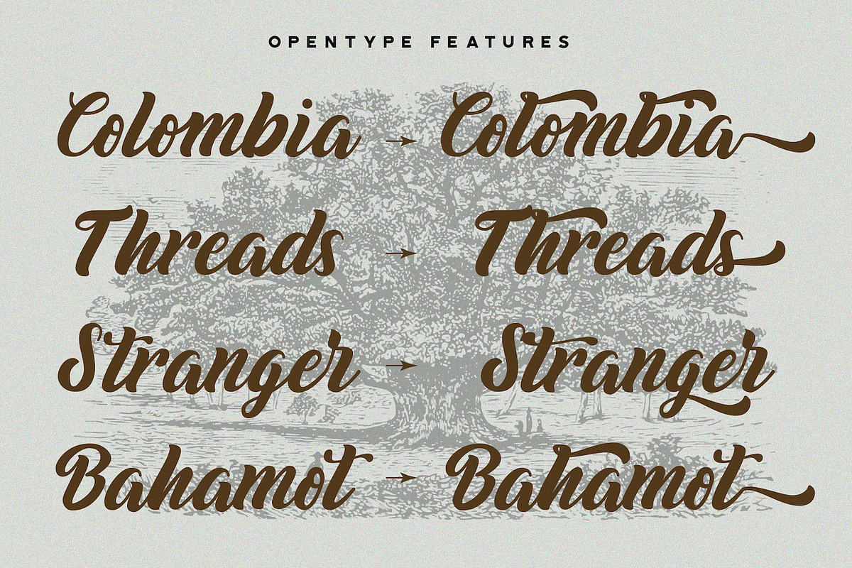 Biyonella - Retro Bold Script Font, a Script Font by StringLabs (Photo 10 of 13)