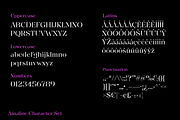 Amaline; Display Serif, a Serif Font by Eko Bimantara (Thumbnail 8 of 8)