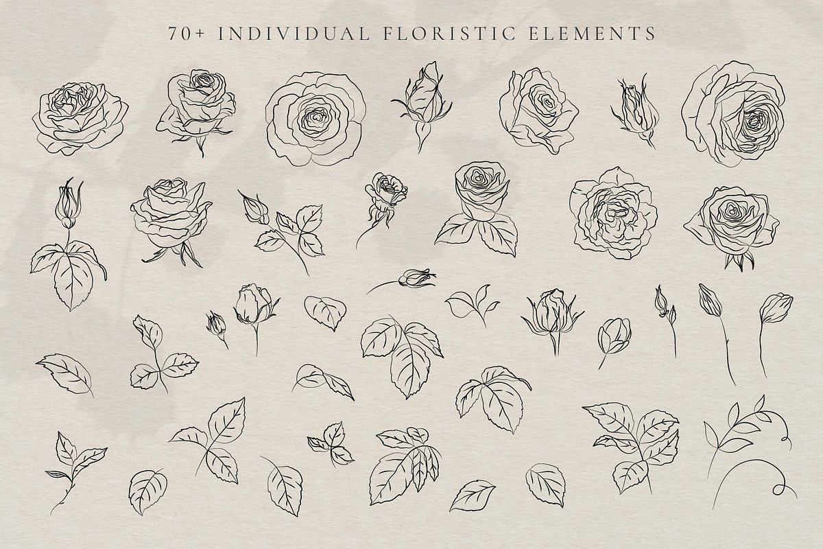 Minimalistic Line Art Roses, a Decorative Illustration by La Petite Line Art (Photo 3 of 12)