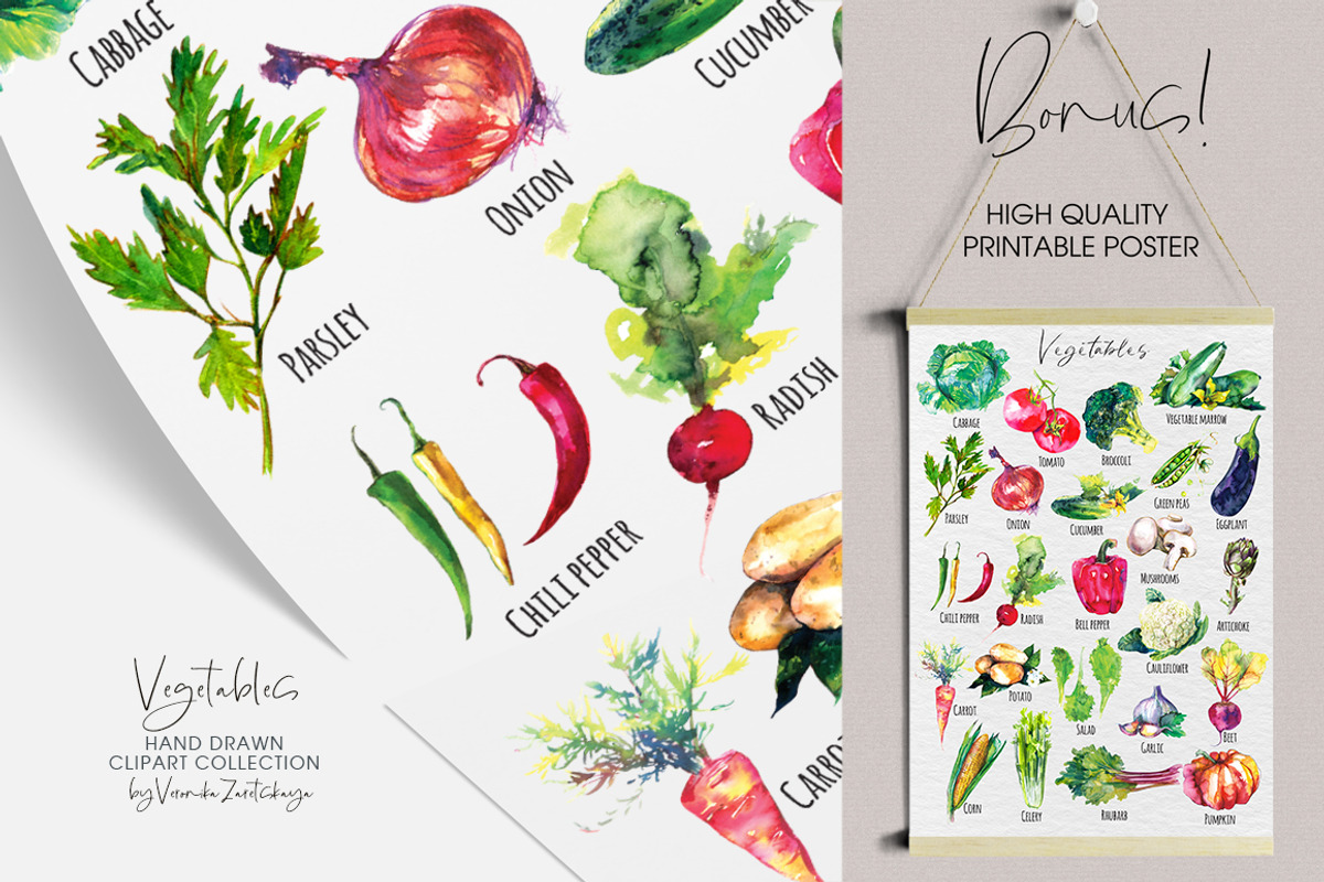 Vegetables clipart watercolor, a Food Illustration by Vero Arts (Photo 6 of 9)