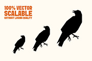 Bird Silhouette SVG Bundle, an Animal Illustration by Tekuni (Thumbnail 7 of 11)