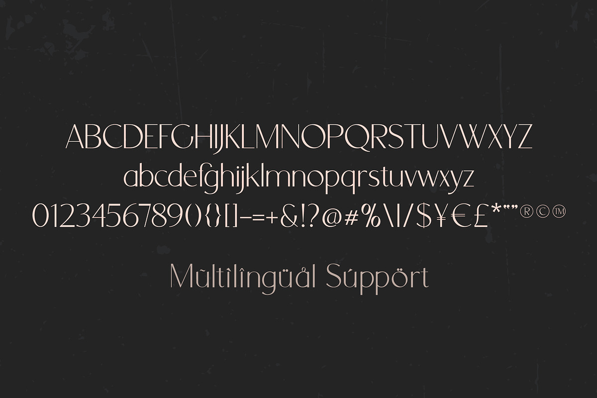 Orchid Sans Serif Font Family, a Sans Serif Font by Anna Zakharchenko (Photo 12 of 12)