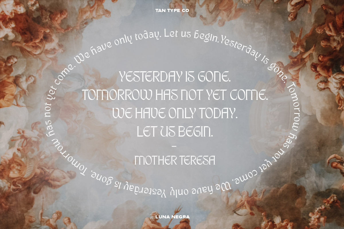 TAN - LUNA NEGRA, a Serif Font by TanType (Photo 2 of 16)