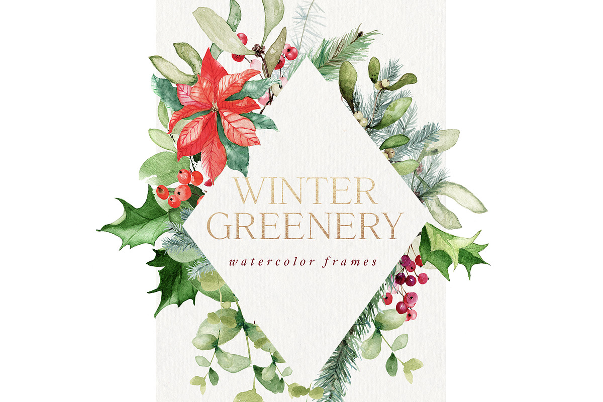 Winter Greenery Watercolor Graphics, an Illustration by studioequinox (Photo 12 of 20)