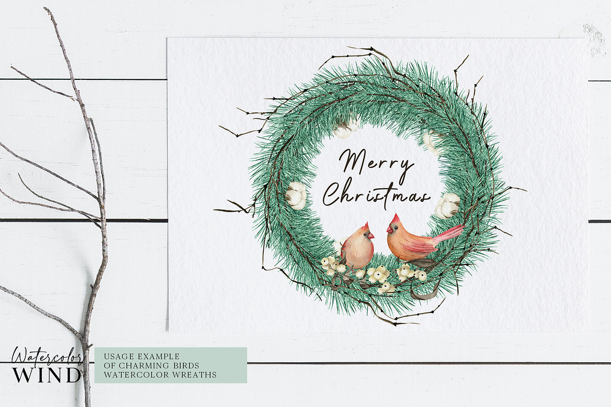 Christmas Teal Clipart Cardinal Bird, an Illustration by Ksenia Shmakova (Photo 2 of 16)