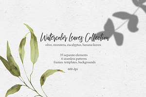 Watercolor leaves collection