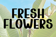 Tropical Summer, a Script Font by FreshTypeINK (Thumbnail 7 of 8)