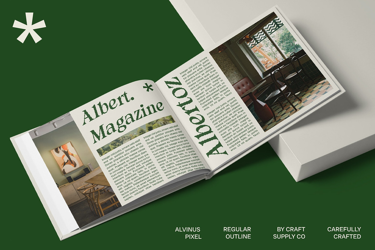 Alvinus Pixel, a Serif Font by Craft Supply Co. (Photo 5 of 8)
