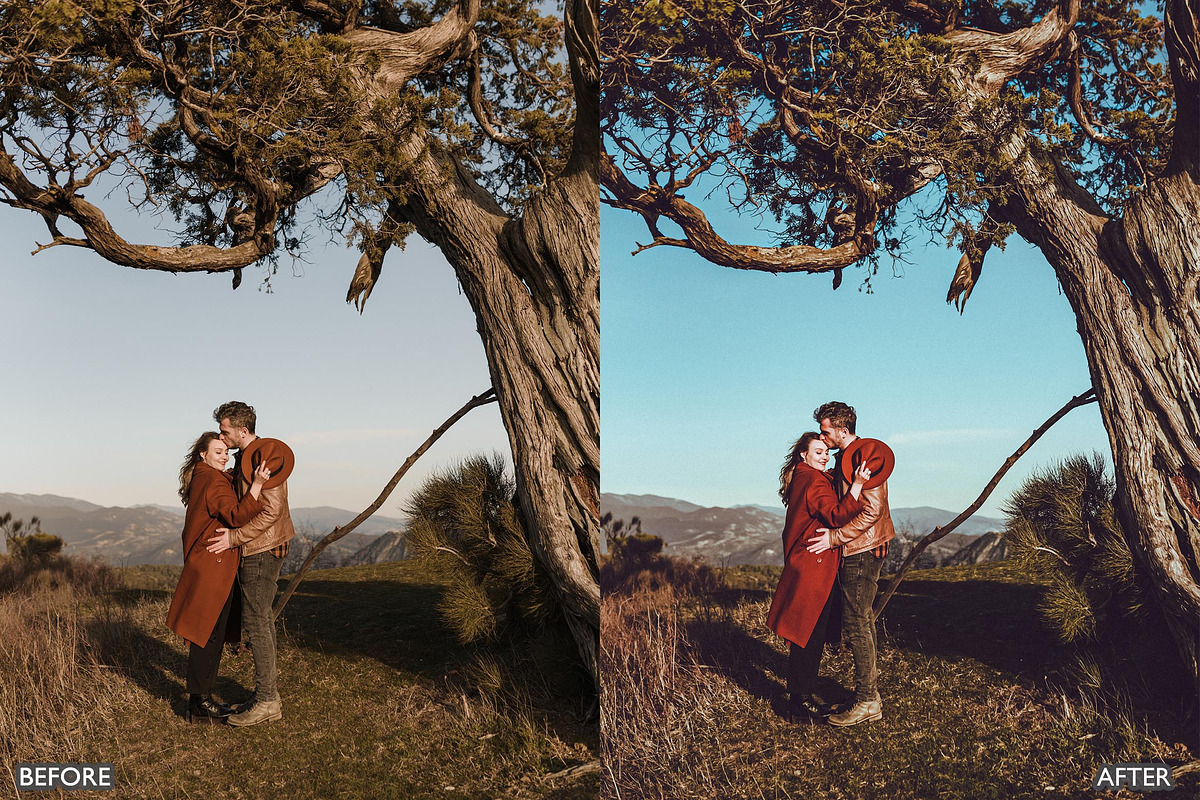 Spring Brown Tone Lightroom Presets, a Preset Add-On by AAA Presets (Photo 12 of 18)