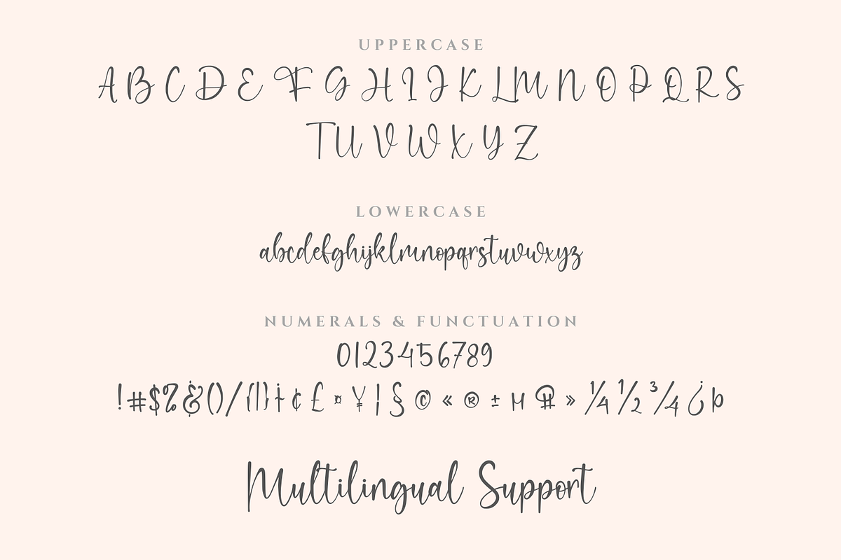 Elvaretta Script Handwriting, a Script Font by CreateBigSupply (Photo 4 of 9)