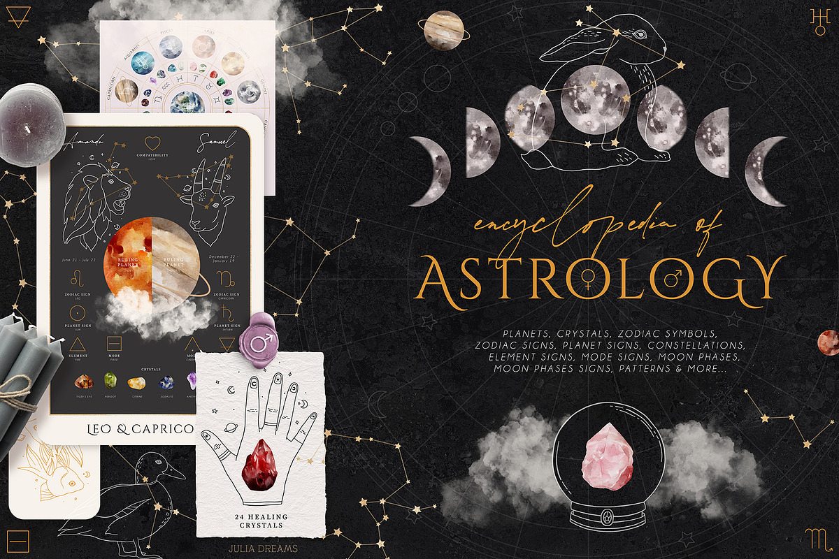Encyclopedia of Astrology, an Animal Illustration by Julia Dreams (Photo 1 of 14)