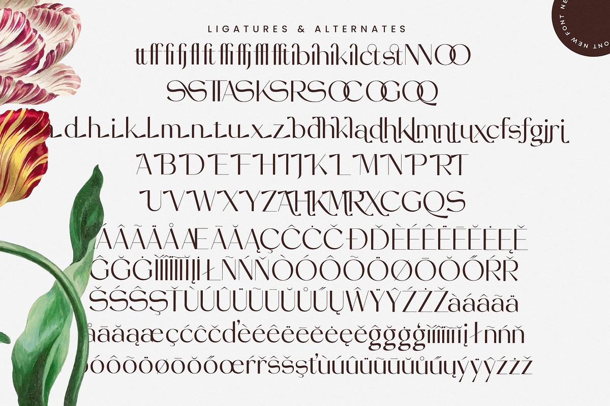 Stogne Gesture Modern Luxury Font, a Sans Serif Font by timelesstype.co (Photo 18 of 20)