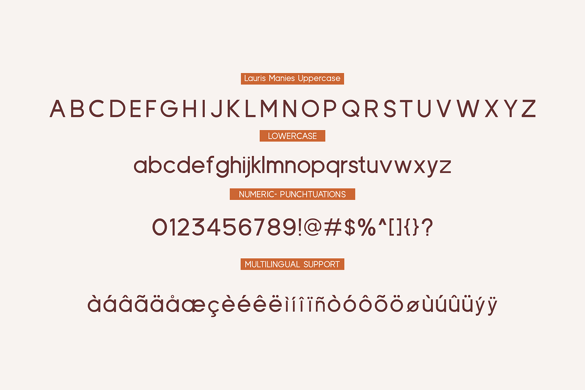 Lauris Manies Amaline - Duo Font, a Script Font by Essentials Studio (Photo 8 of 9)