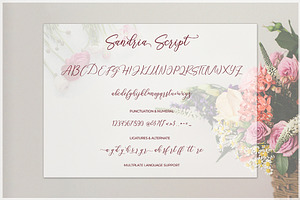 Sandria Script