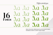 Lah Kagok, a Serif Font by Differentialtype (Thumbnail 4 of 9)