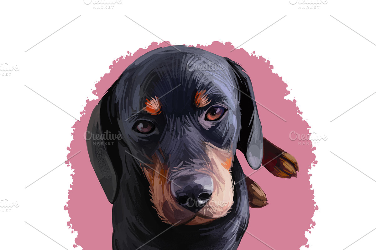 Puppies Dog Breeds Big Bundle 135Pcs, an Animal Illustration by Dneprstock (Photo 60 of 68)