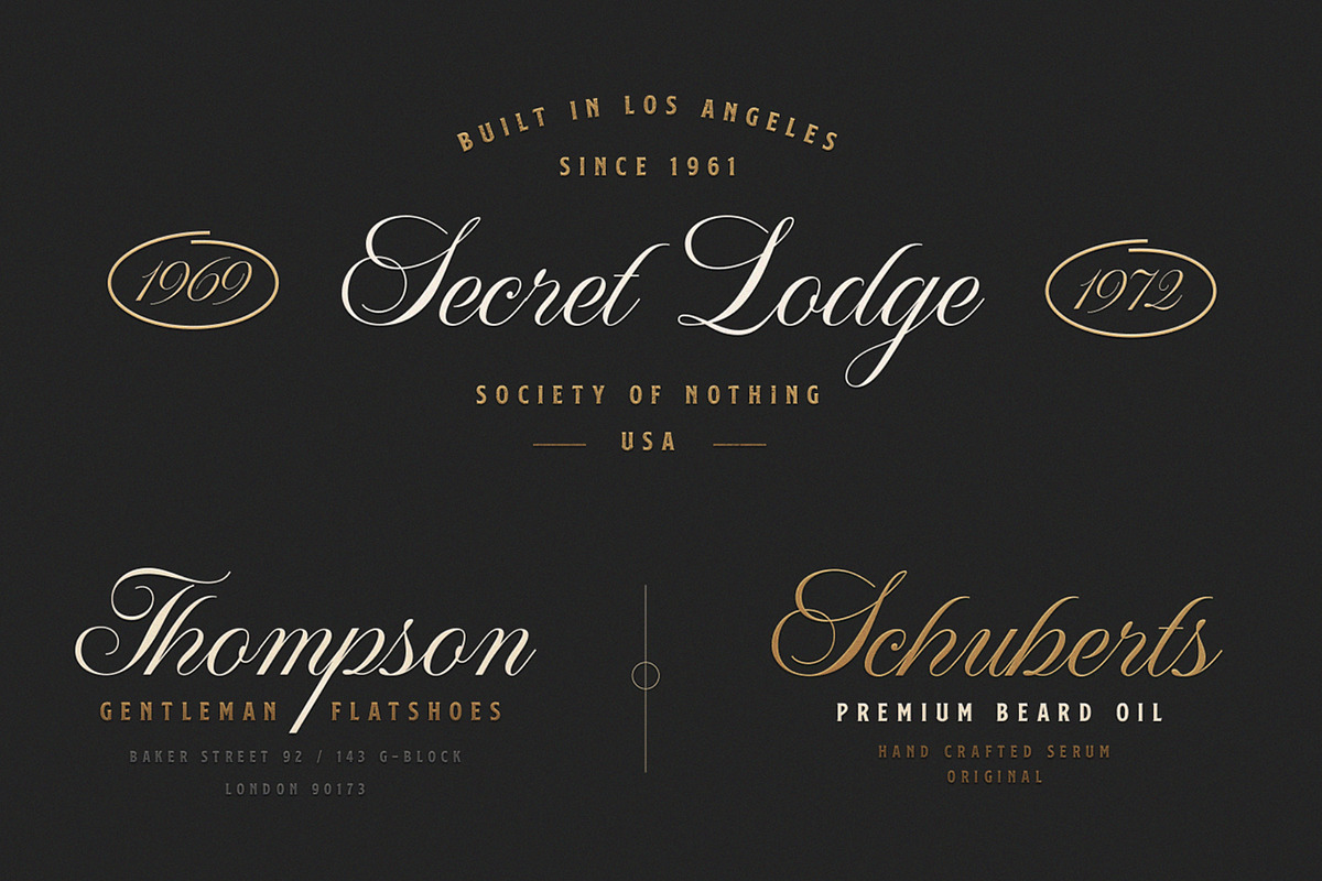 WT Hilton Script, a Font by Winston Type Co. (Photo 3 of 9)
