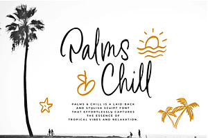 Palms & Chill Handwritten Script