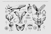 Lost in translation. Mixed Media set, an Object Graphic by Purple (Thumbnail 5 of 11)