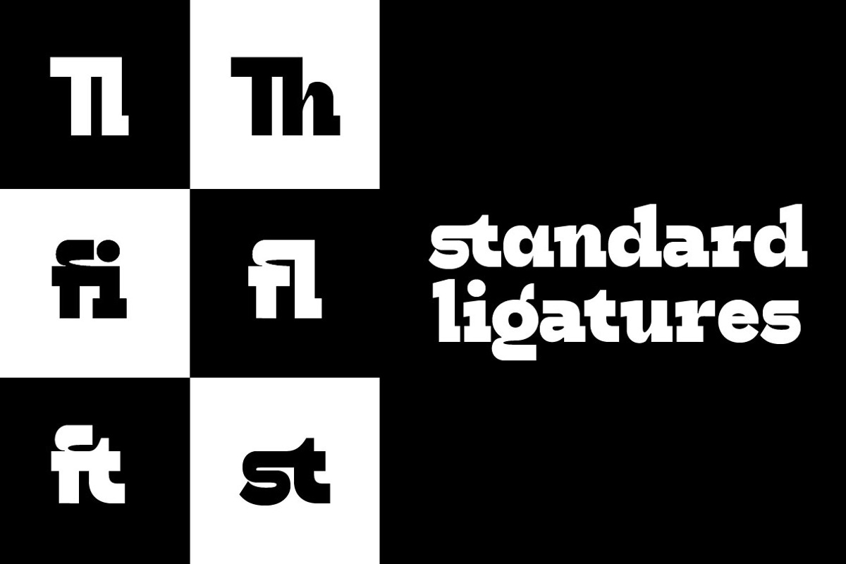 HN Cito, a Slab Serif Font by Hora Nocte (Photo 3 of 12)