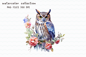 Owl Watercolor Clip Art