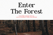Fantastic Font Bundle, a Serif Font by Font Kingdom (Thumbnail 23 of 24)