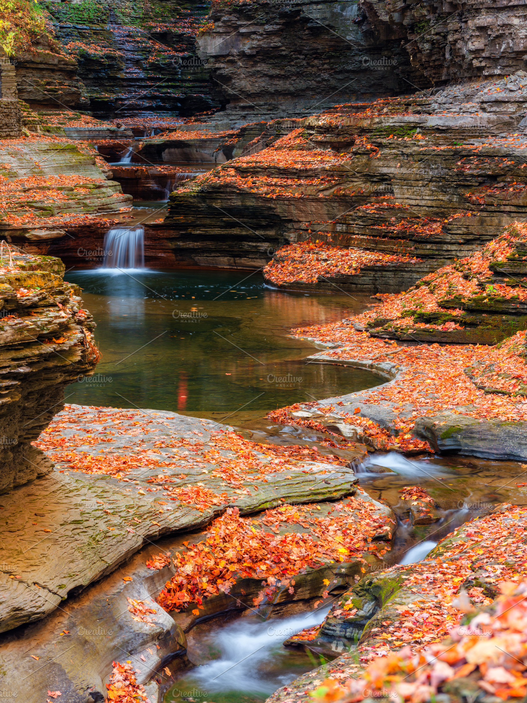Watkins Glen State Park, a Nature Photo by Andriy Photography
