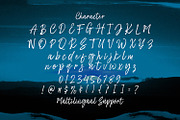 Sayodies - Handbrush Script Font, a Script Font by StringLabs (Thumbnail 9 of 10)