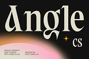 CS Angle – Classic Font, a Serif Font by Craft Supply Co. (Thumbnail 1 of 8)