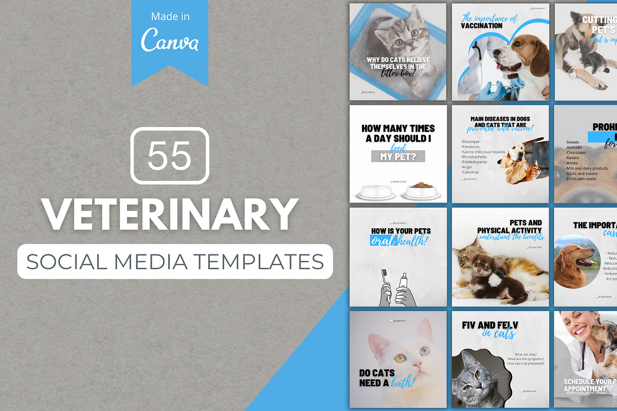 Veterinary Canva Templates Bundle, a Social Media Template by Canvagator (Photo 1 of 3)