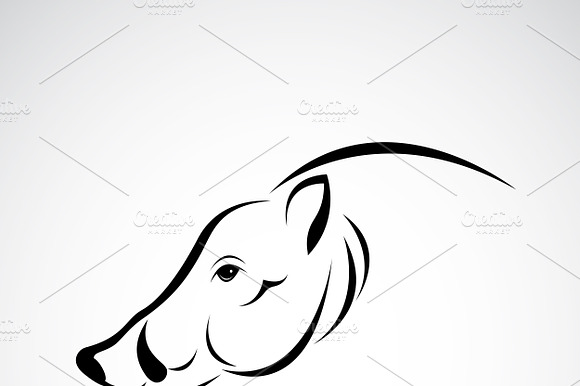 Boar Head Design