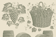 Design set Vine. Vector engraving, a Decorative Illustration by Vector Engraving (Thumbnail 4 of 4)