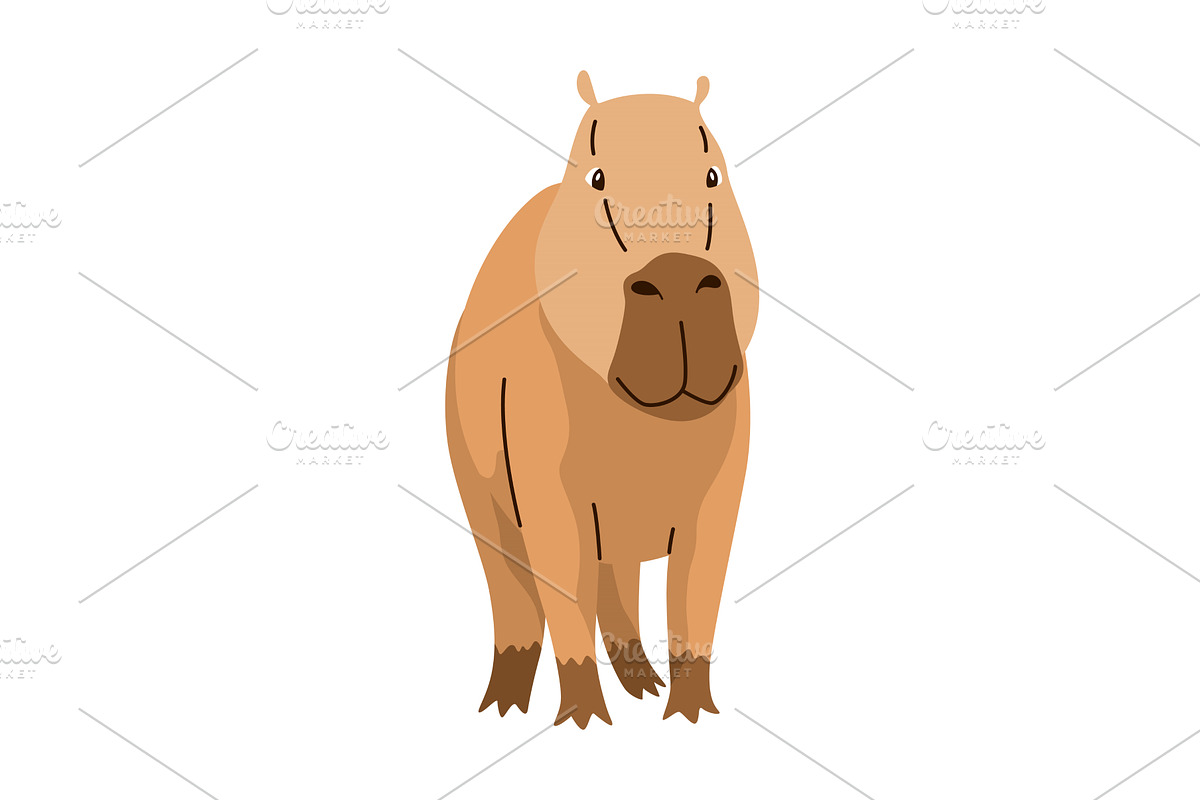 Capybara. Cartoon cute animal, wild, an Animal Illustration by the8monkey