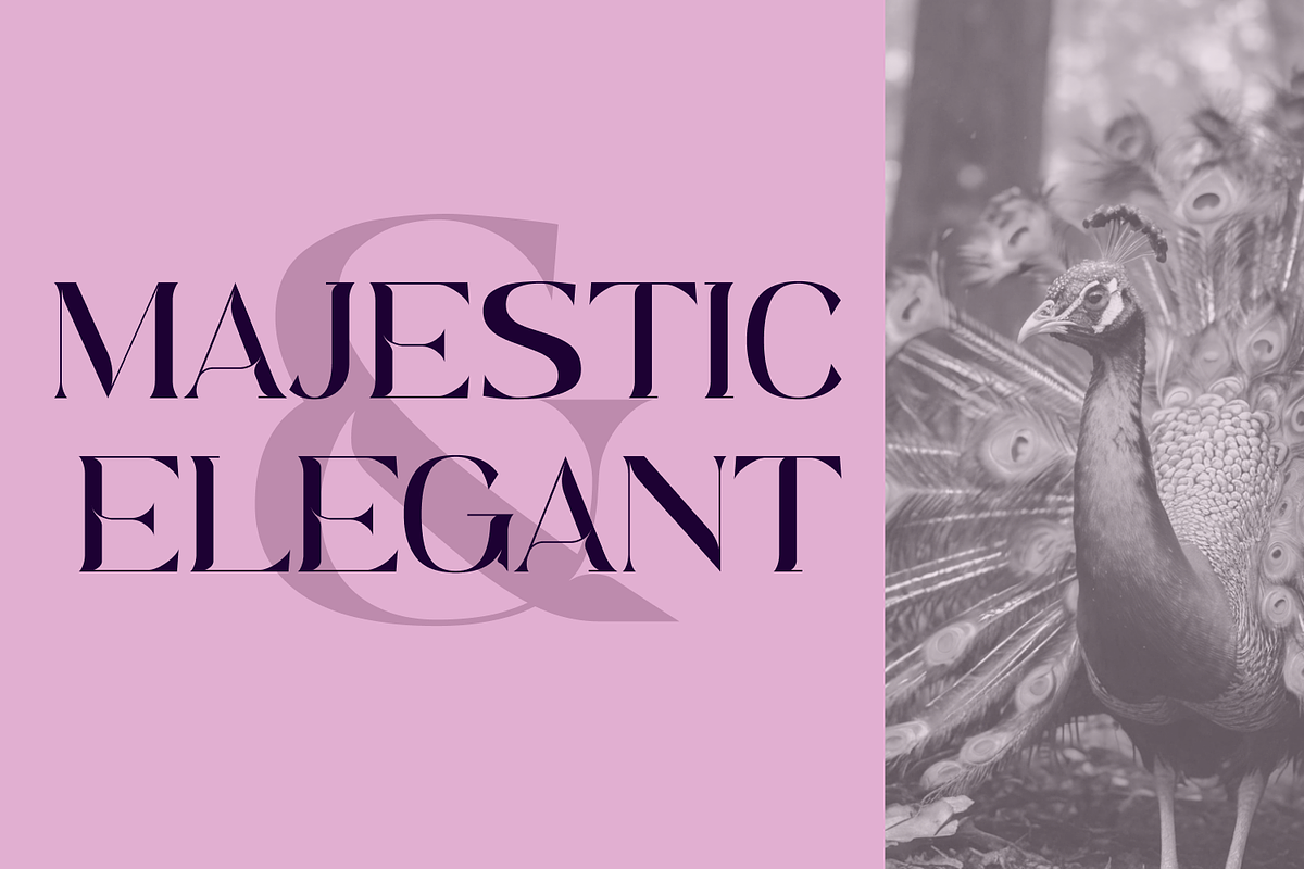 Pavoris, a Serif Font by IWMType (Photo 2 of 7)
