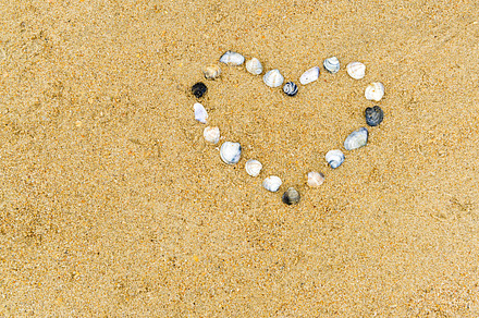 Sea shells heart stock photo containing backdrop and background, a Holiday Photo by Lopatin Photo