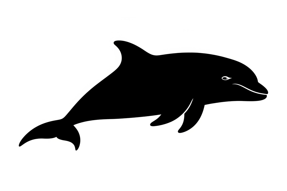 Dolphin Jumping Silhouette Vector bu, an Illustration by Designs_River (Photo 27 of 48)