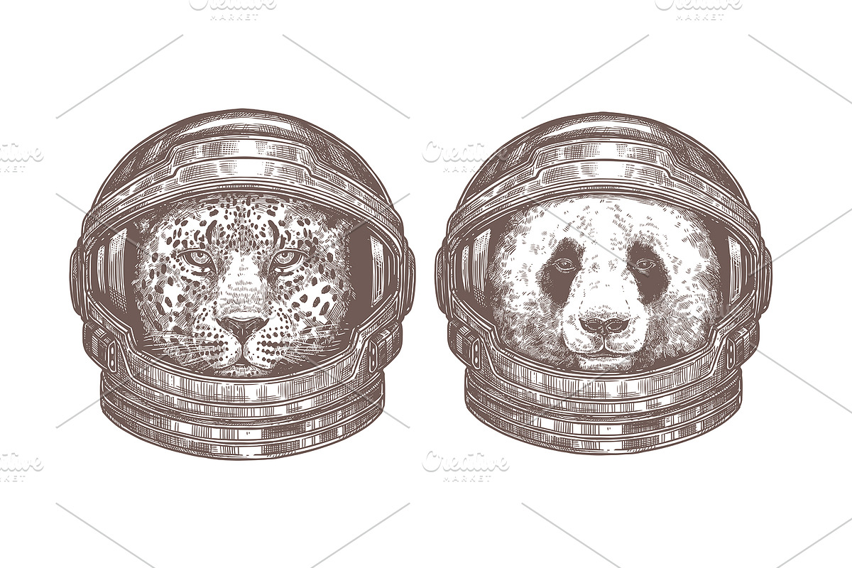Astronaut Helmet, an Animal Illustration by alexrockheart (Photo 7 of 9)