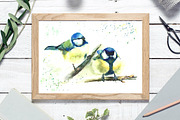SALE Watercolor Titmouse birds, an Animal Illustration by MaryAmi (Thumbnail 2 of 3)