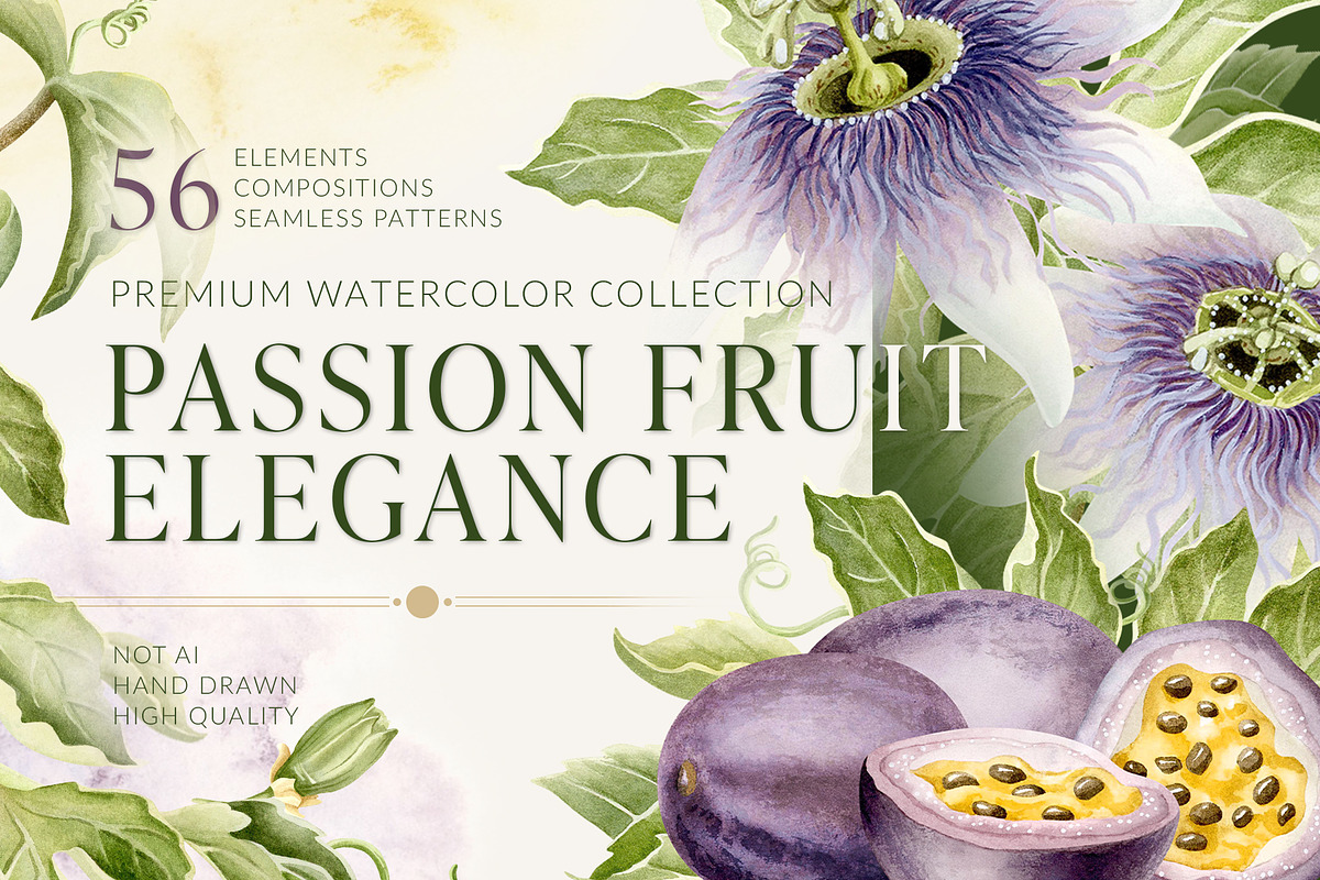Passion Fruit Watercolor Clip Art, a Food Illustration by Elena Malgina Clipart (Photo 1 of 16)