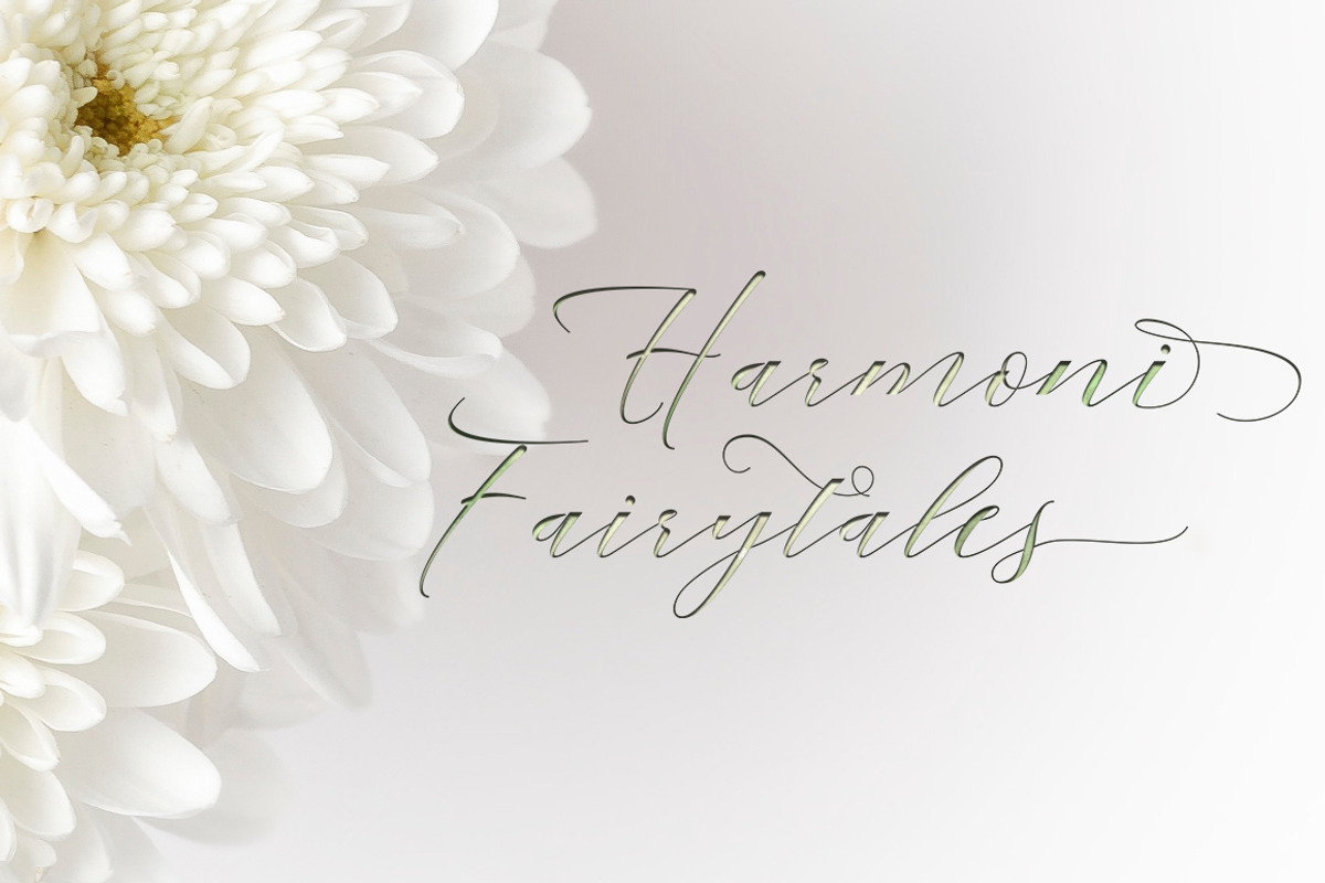 Mahogany Script, a Script Font by Areatype (Photo 5 of 8)