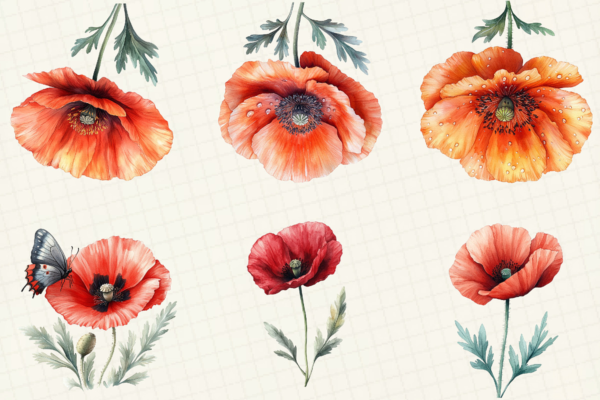 Corn Poppy Flower Bloom Clipart, an Illustration by OK Design (Photo 3 of 5)